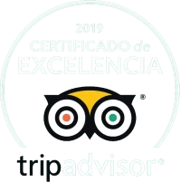 tripadvisor logo 1